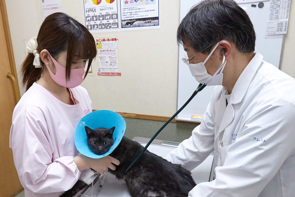 症例紹介 写真