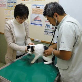 手術前 診察写真