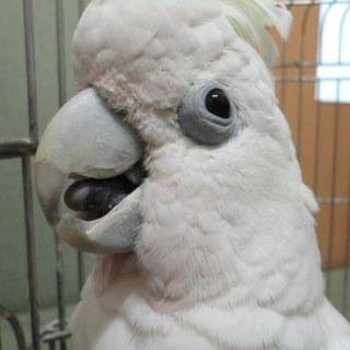 処置終了写真