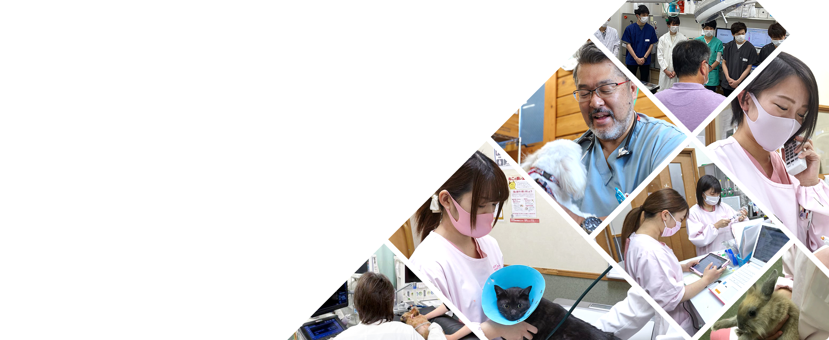 採用案内 見出し写真