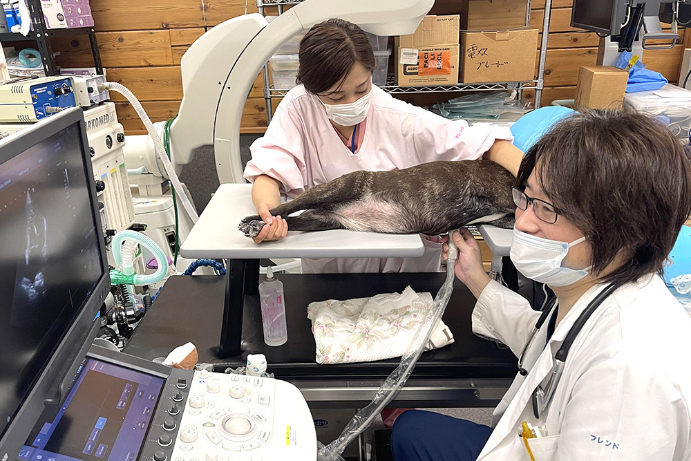 採用ページサムネイル写真